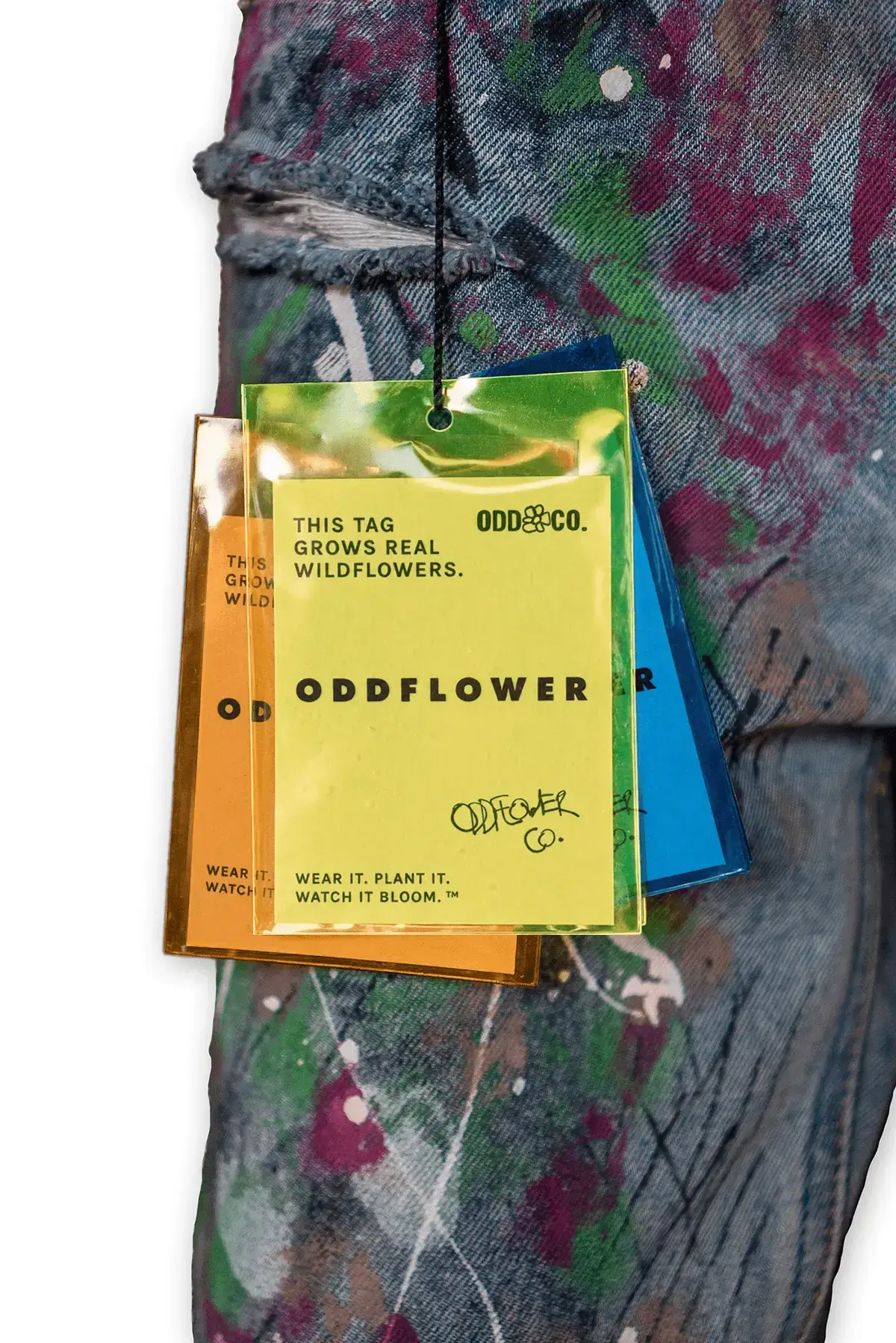 hero - hang tags - vertical Oddflower hang tags on a pair of jeans
